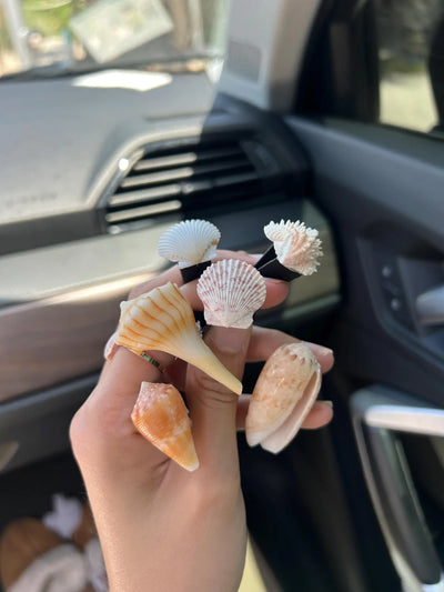 Set of 5 Seashell Vent Clips - Mystery Bundle
